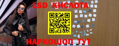 прущие грибы Краснодар