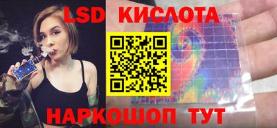 прущие грибы Краснодар