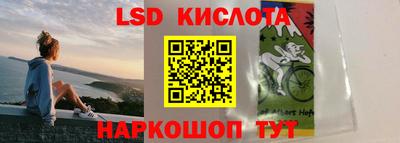 индика Краснознаменск
