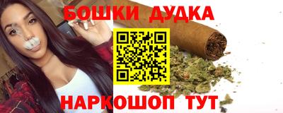 индика Краснознаменск