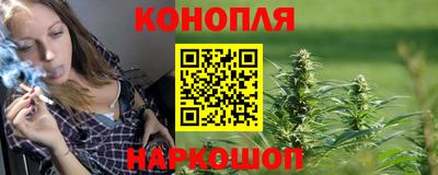 прущие грибы Краснодар